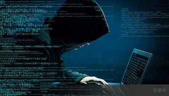 四川黑客最新爆料视频,揭秘网络黑幕与安全危机